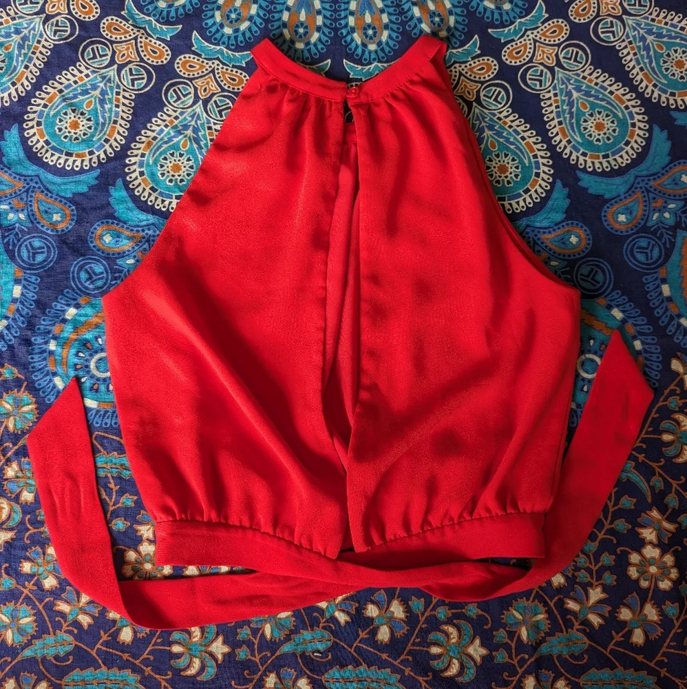 Wilfred | Aritzia Red Patrice Halter Top, Tie Back, Size XS - Picture 3 of 10